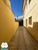 Loja-Salão, 281 m² - Foto 6