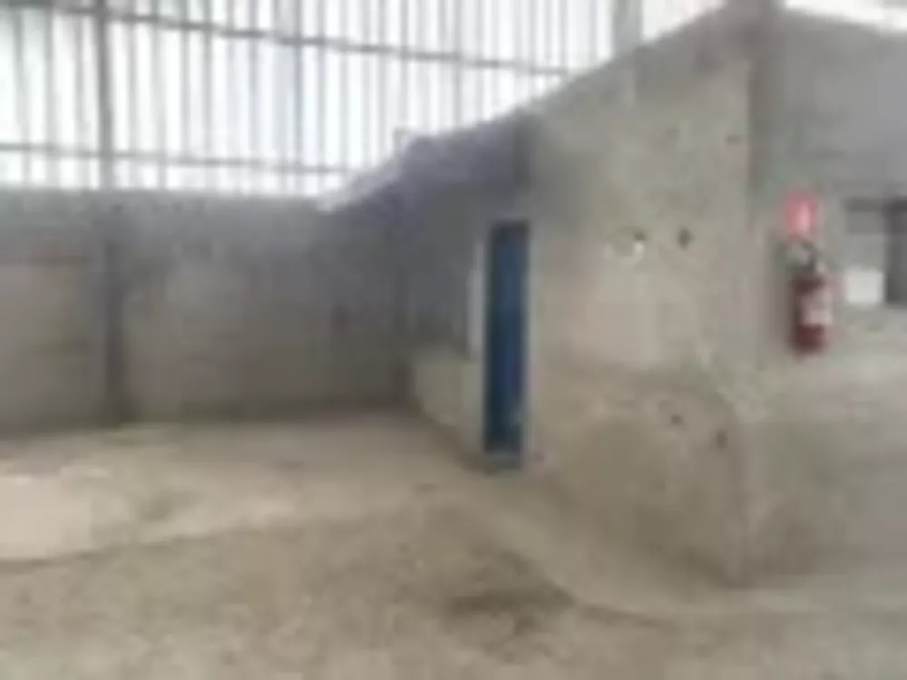 Depósito-Galpão, 390 m² - Foto 3