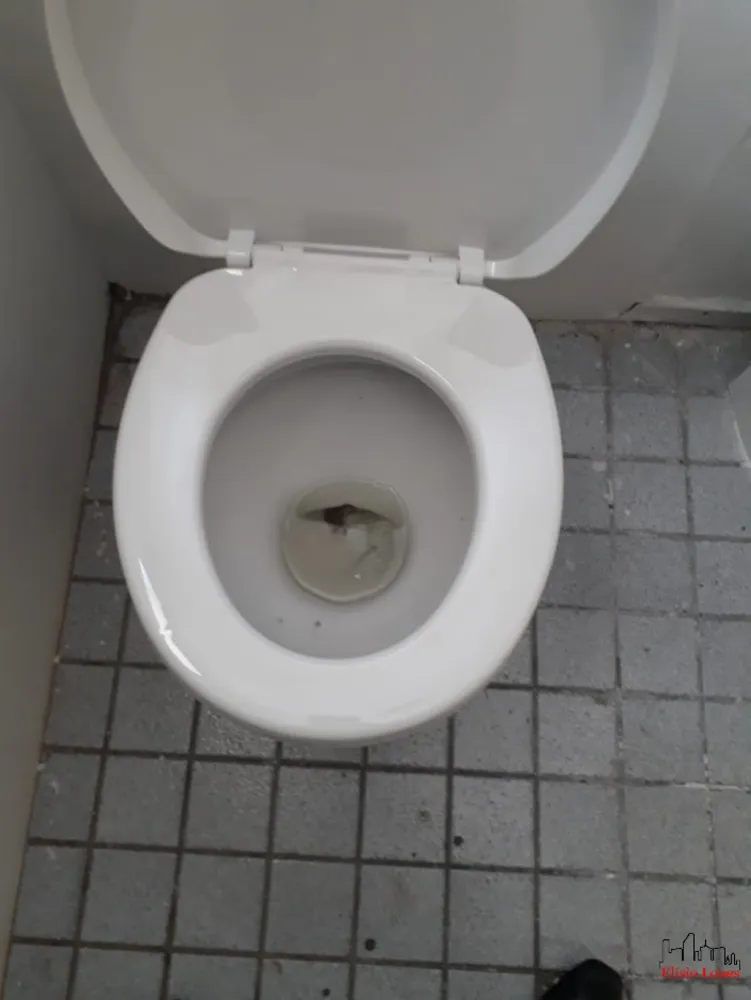Sala-Conjunto - Foto 2