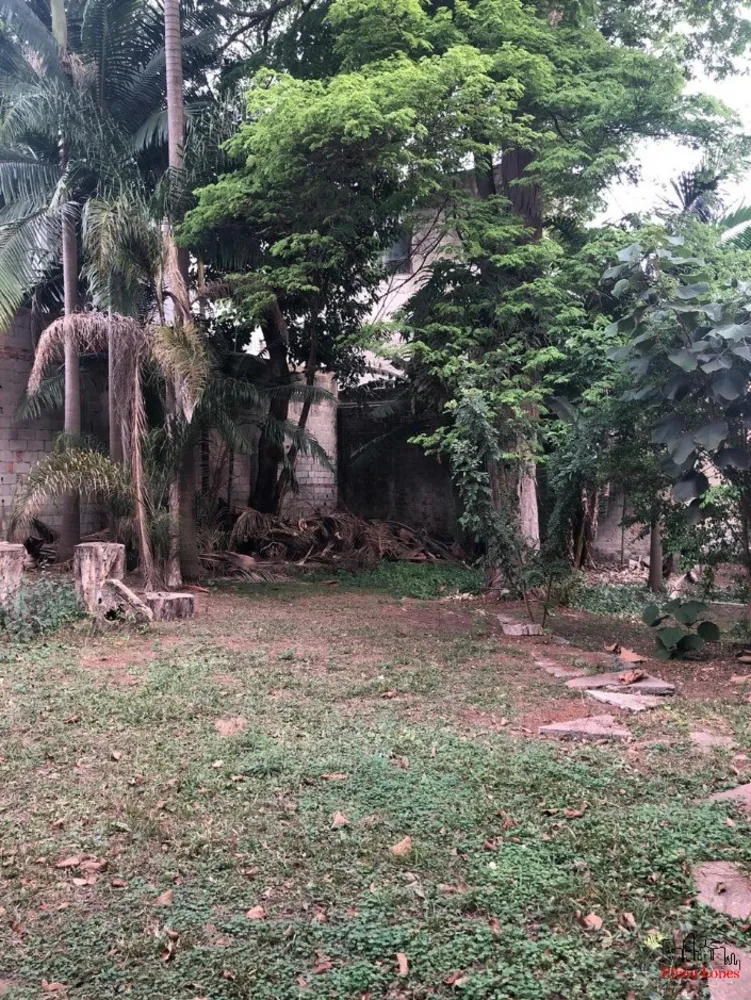 Casa, 2 quartos, 800 m² - Foto 3