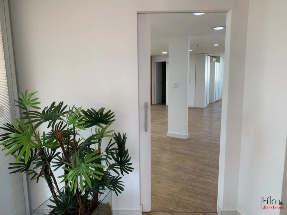 Sala-Conjunto, 350 m² - Foto 4
