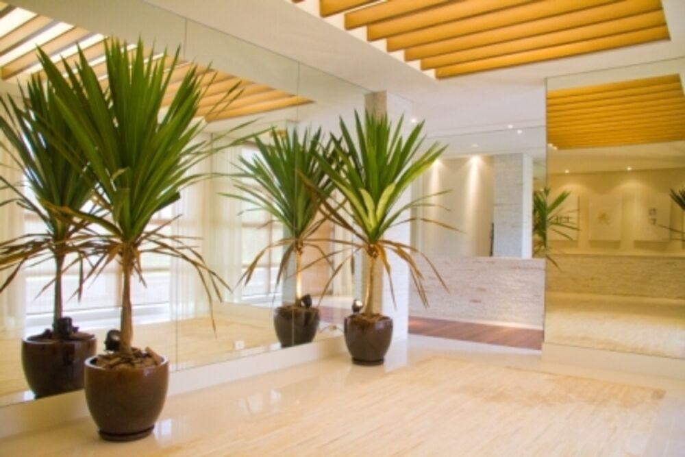 Apartamento, 4 quartos, 206 m² - Foto 1