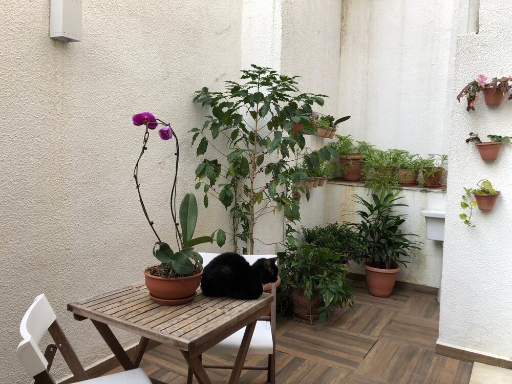 Casa de Condomínio, 2 quartos - Foto 4