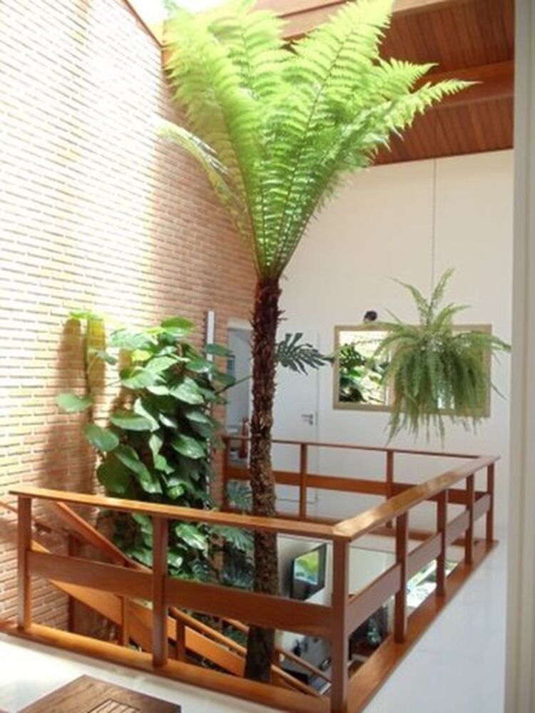 Casa, 3 quartos, 350 m² - Foto 7