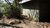 Casa, 4 quartos, 494 m² - Foto 18