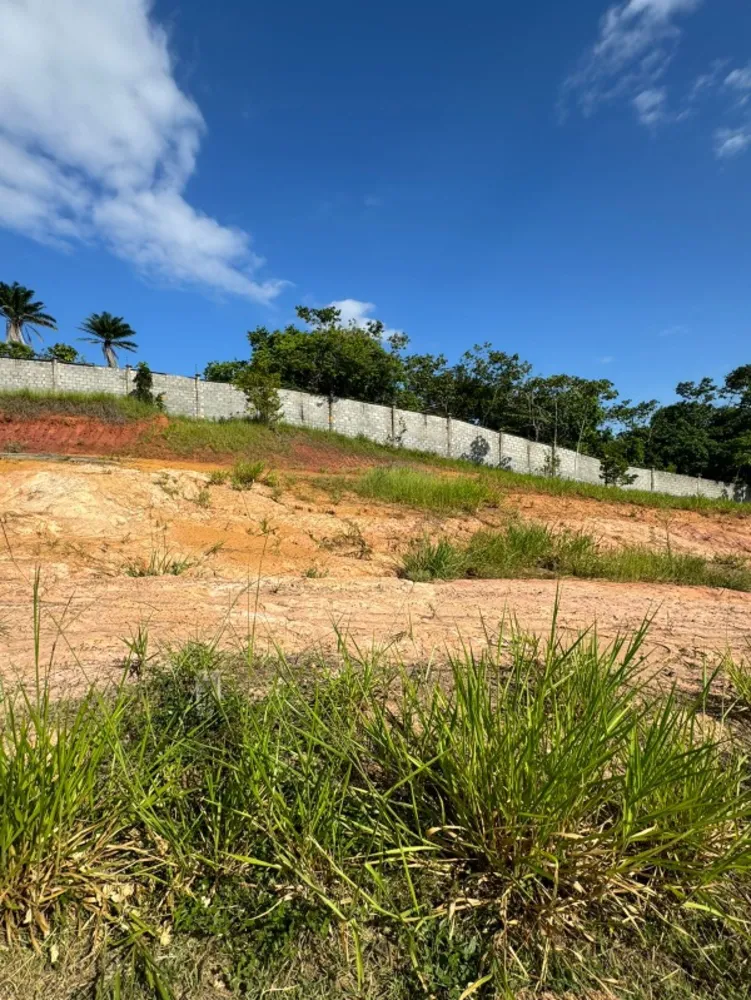 Terreno, 317 m² - Foto 5