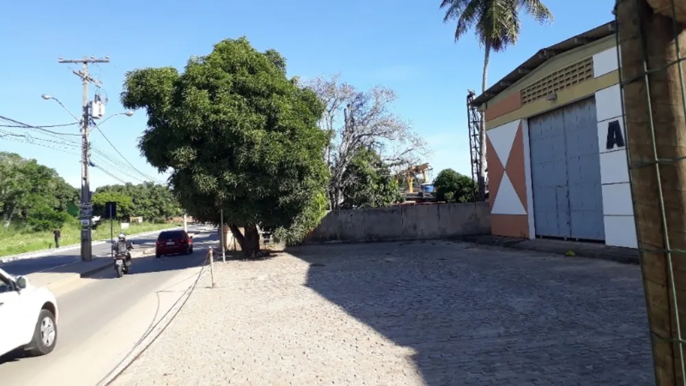 Depósito-Galpão - Foto 4