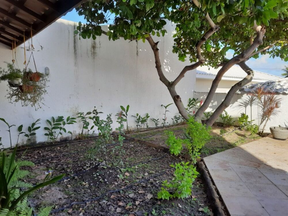 Casa, 4 quartos - Foto 10