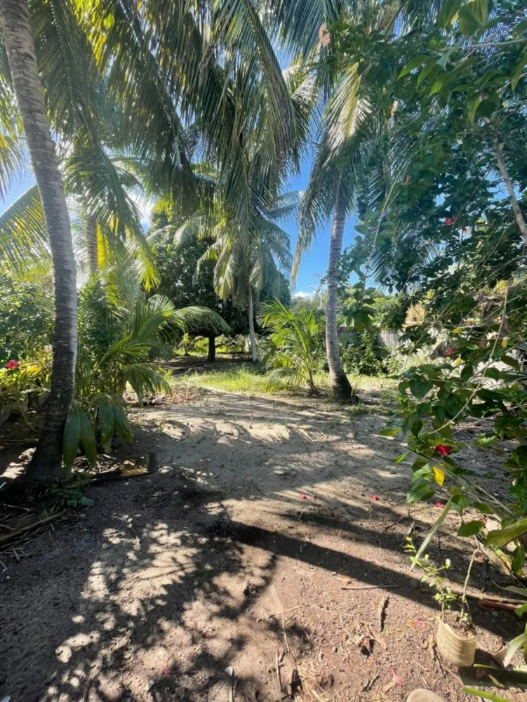 Casa, 4 quartos - Foto 4