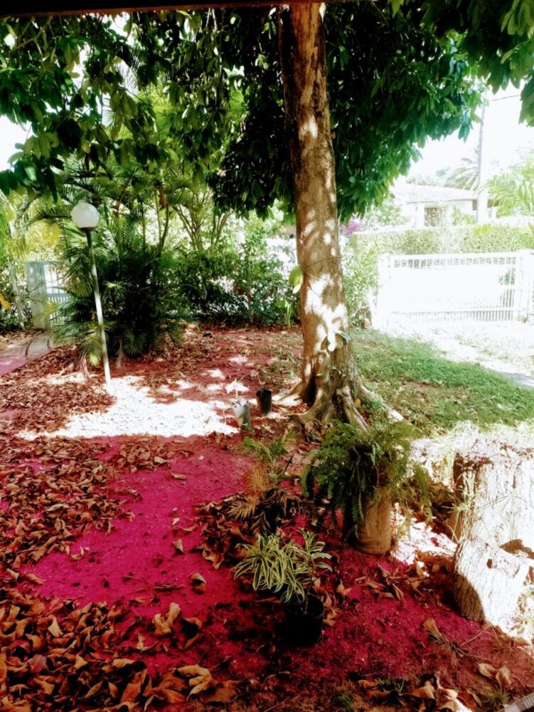 Casa, 4 quartos - Foto 8