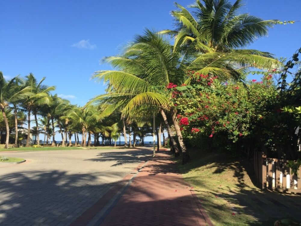 Casa, 4 quartos - Foto 3