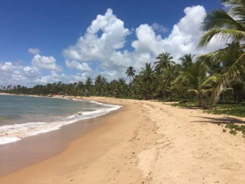 Casa, 4 quartos - Foto 4