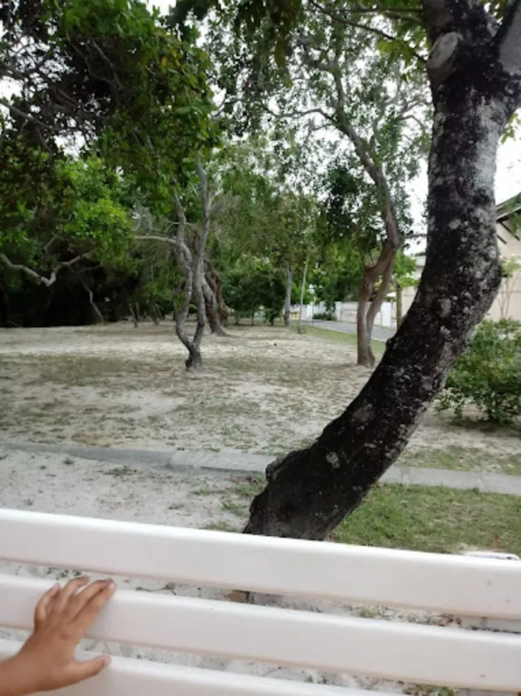 Casa, 4 quartos - Foto 8