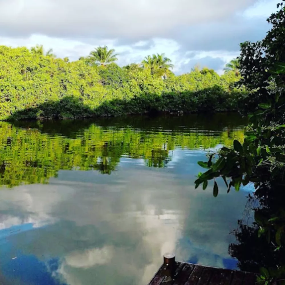 Casa, 4 quartos - Foto 9