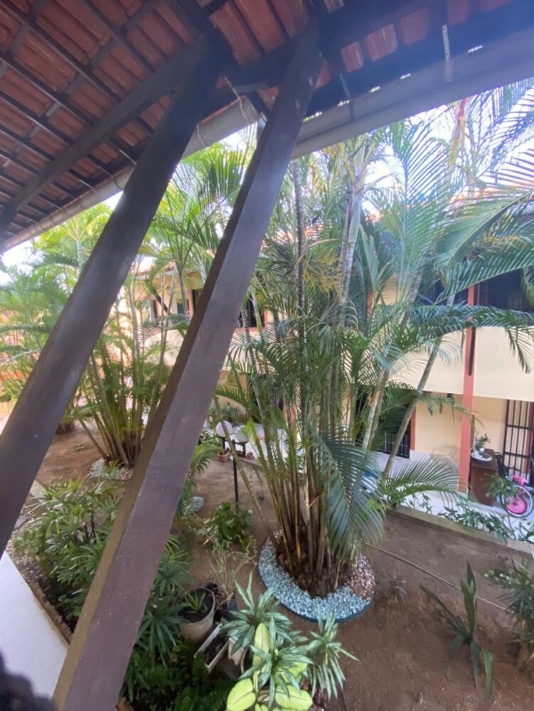 Casa para alugar com 2 quartos - Foto 6