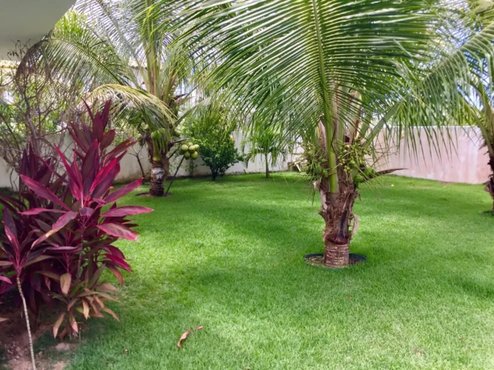 Casa, 4 quartos - Foto 7