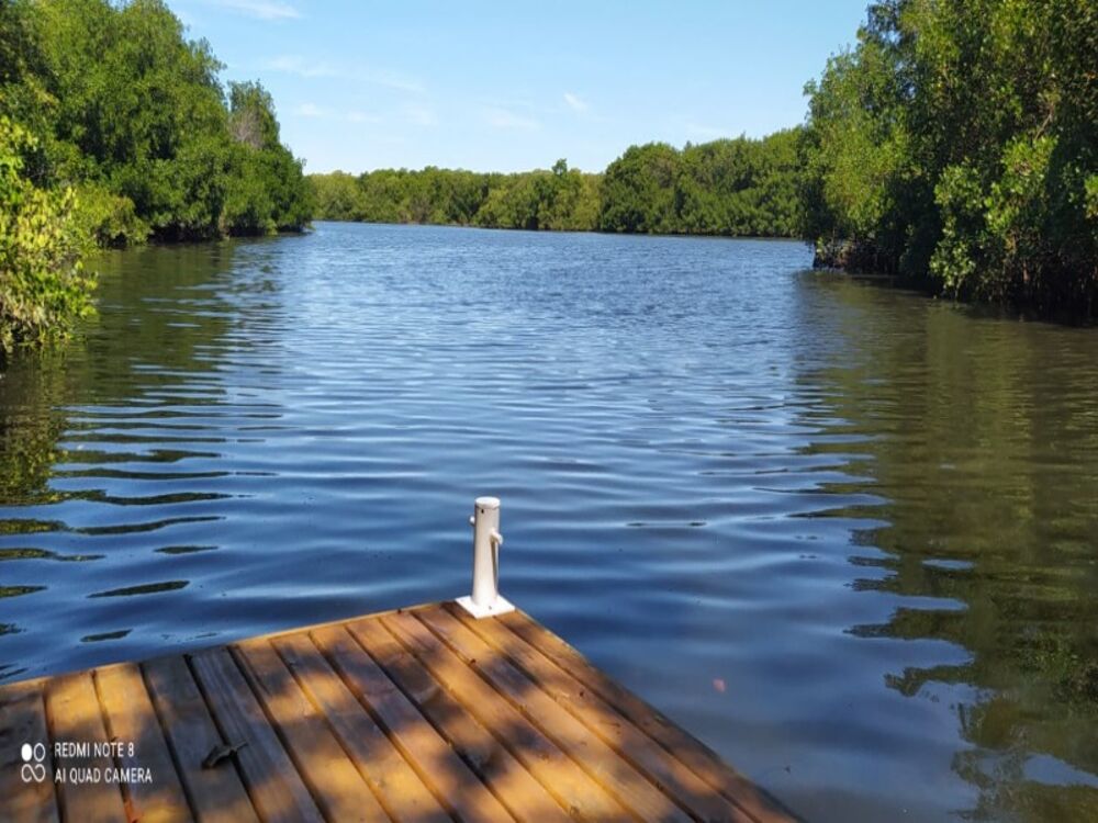 Casa, 4 quartos - Foto 20