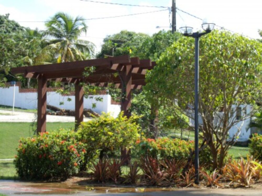 Terreno, 2000 m² - Foto 4