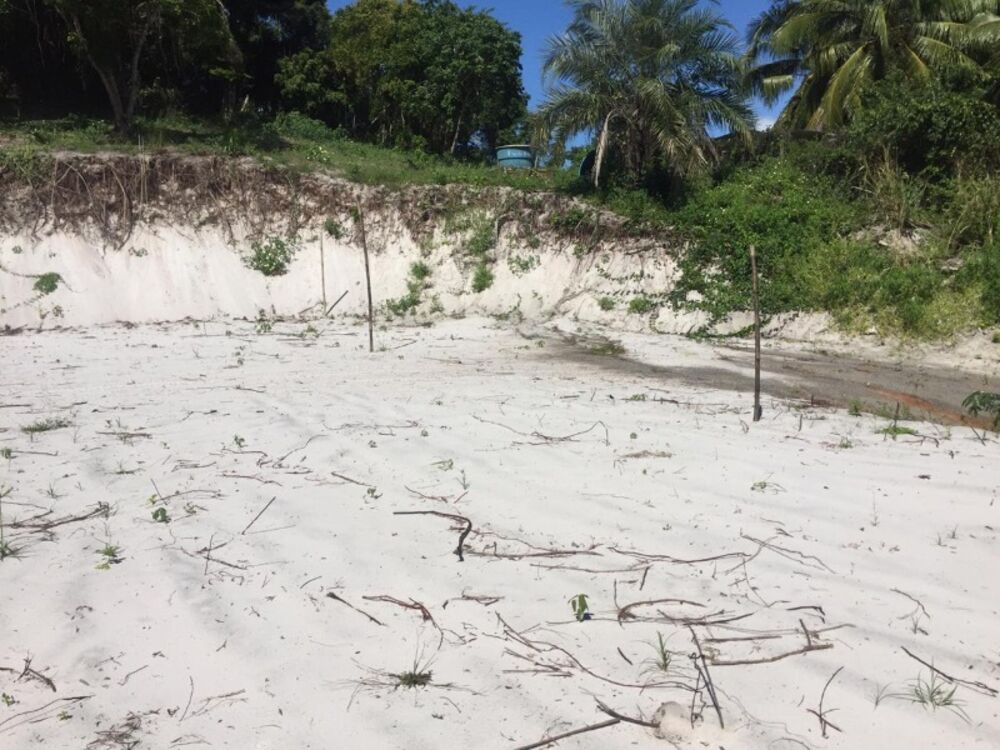 Terreno, 3000 m² - Foto 4