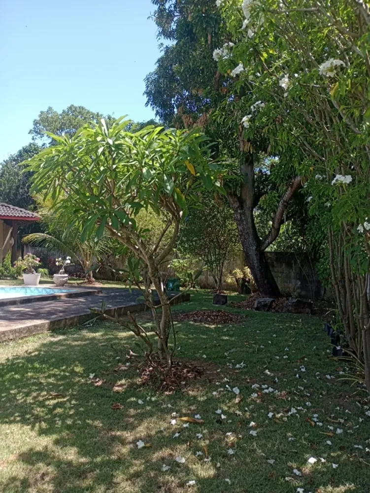 Casa, 4 quartos - Foto 3