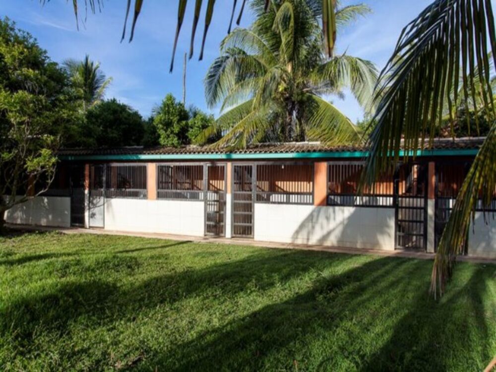 Casa, 7 quartos - Foto 1