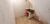 Casa, 1 quarto, 30 m² - Foto 17