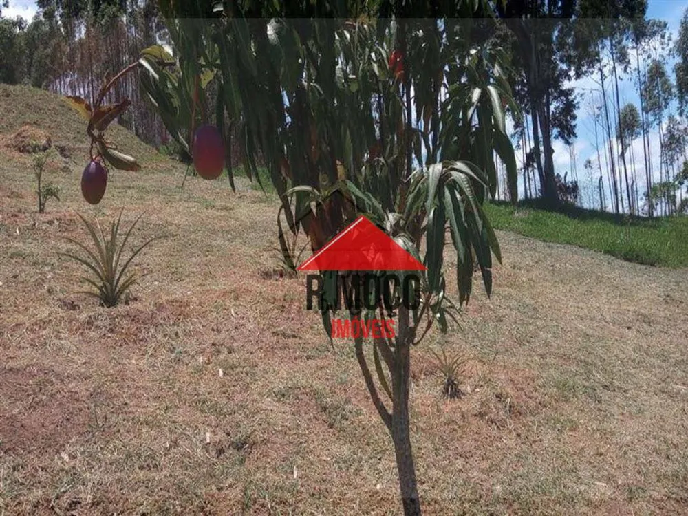Terreno, 7812 m² - Foto 6