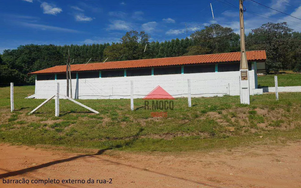 Sítio, 4 quartos, 2 hectares - Foto 12