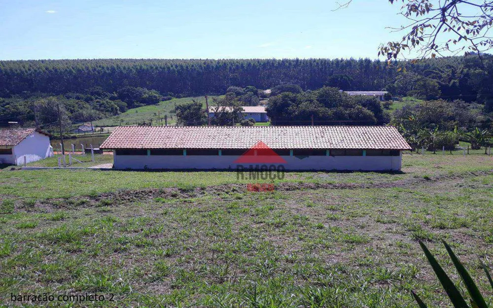 Sítio, 4 quartos, 2 hectares - Foto 13