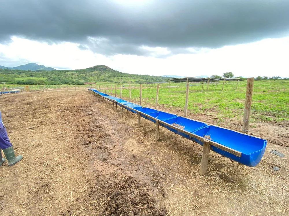 Fazenda à venda com 2 quartos - Foto 7