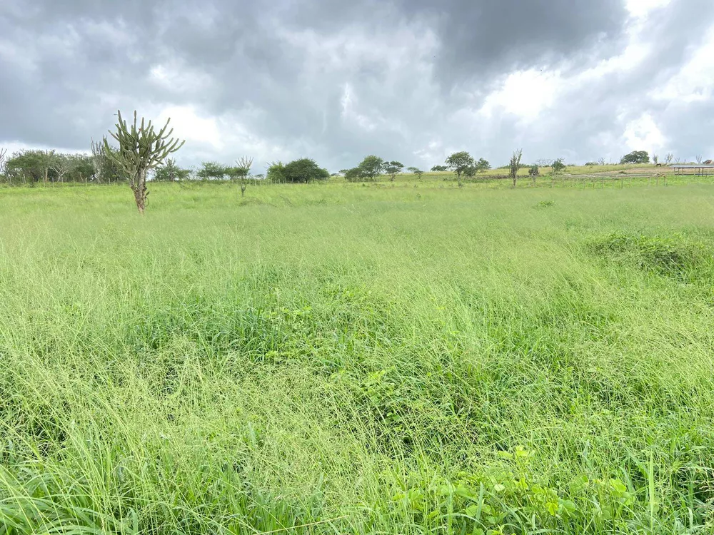 Fazenda à venda com 2 quartos - Foto 6