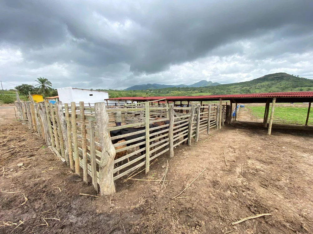 Fazenda à venda com 2 quartos - Foto 8