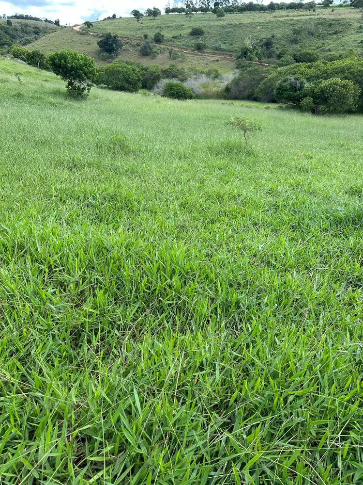 Terreno, 219 m² - Foto 5