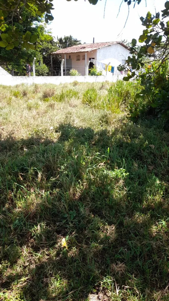 Terreno - Foto 2
