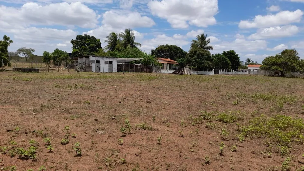 Terreno - Foto 3