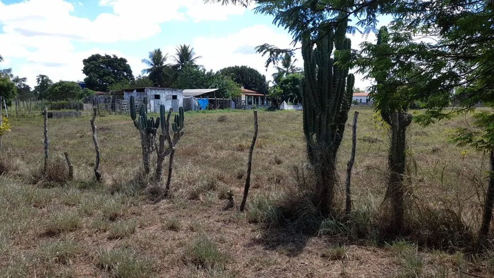 Terreno - Foto 6