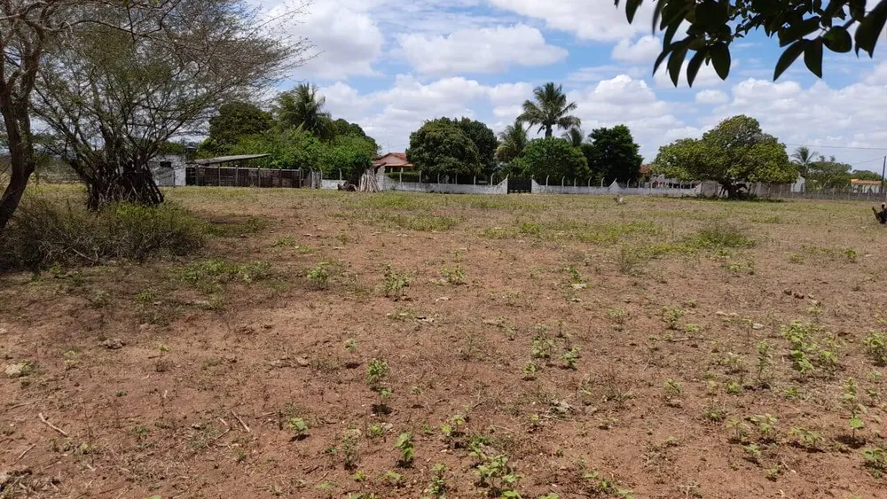 Terreno - Foto 4