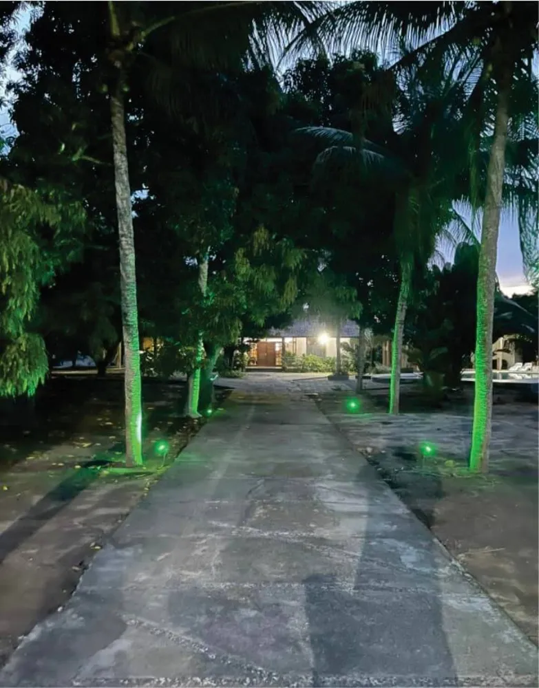 Chácara, 5 quartos, 1 hectares - Foto 4