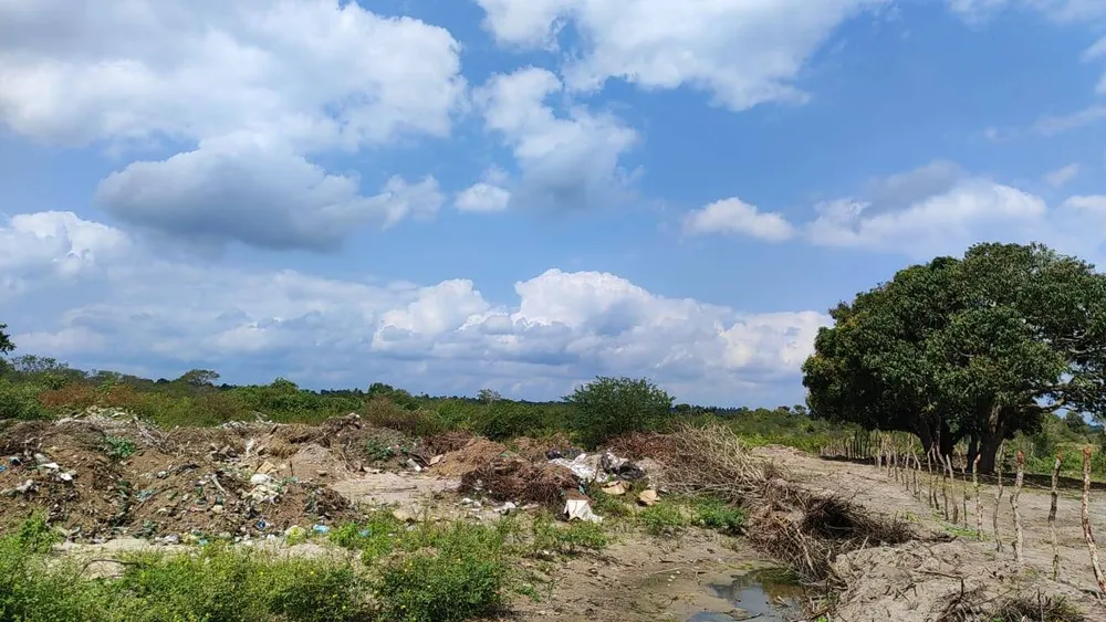 Terreno - Foto 4
