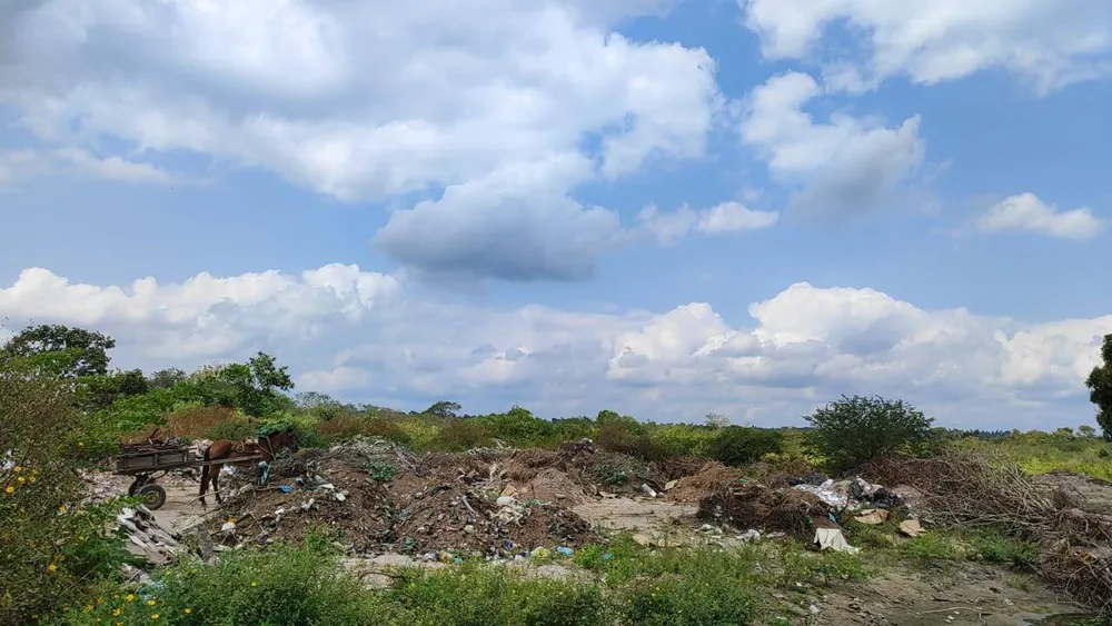 Terreno - Foto 3