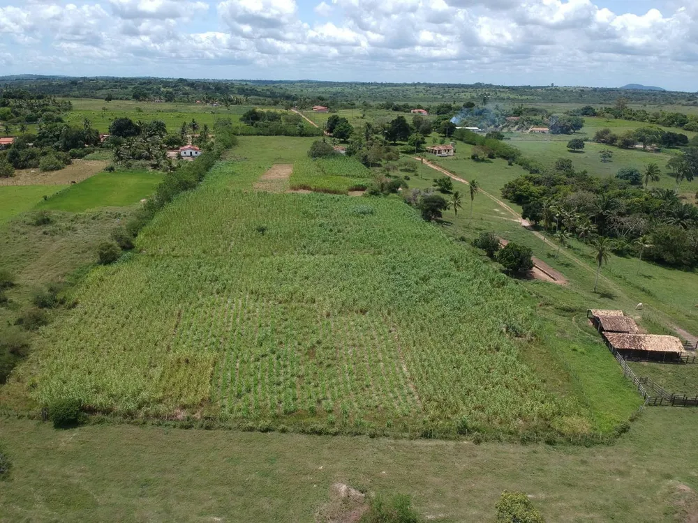 Terreno - Foto 3