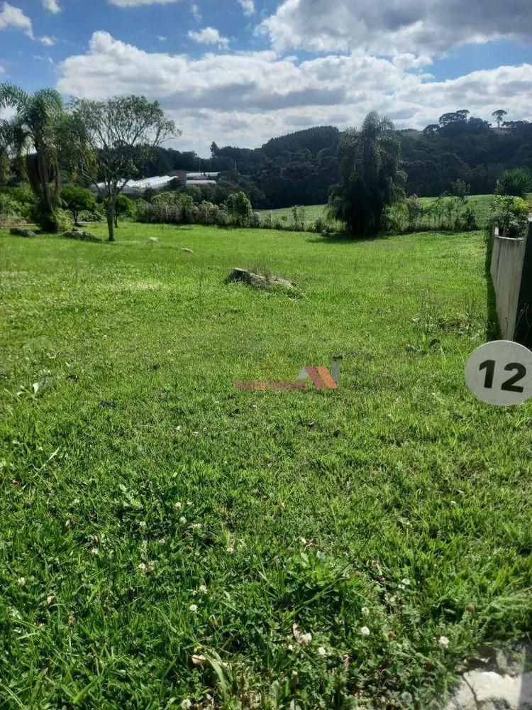 Loteamento e Condomínio, 1033 m² - Foto 3