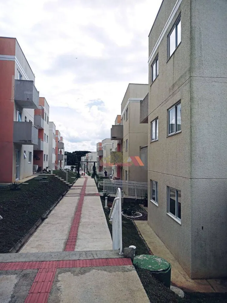 Apartamento, 3 quartos, 60 m² - Foto 3