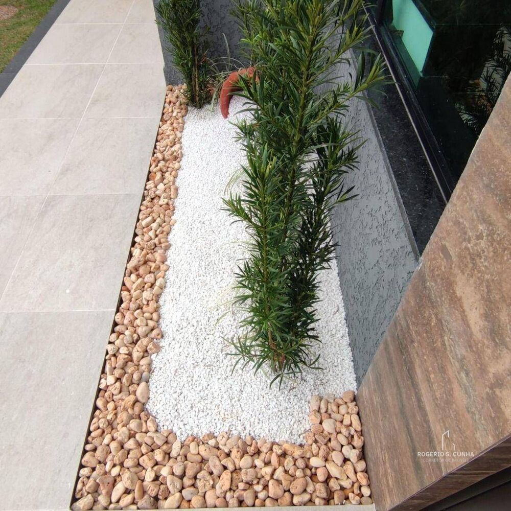 Casa, 4 quartos, 209 m² - Foto 4