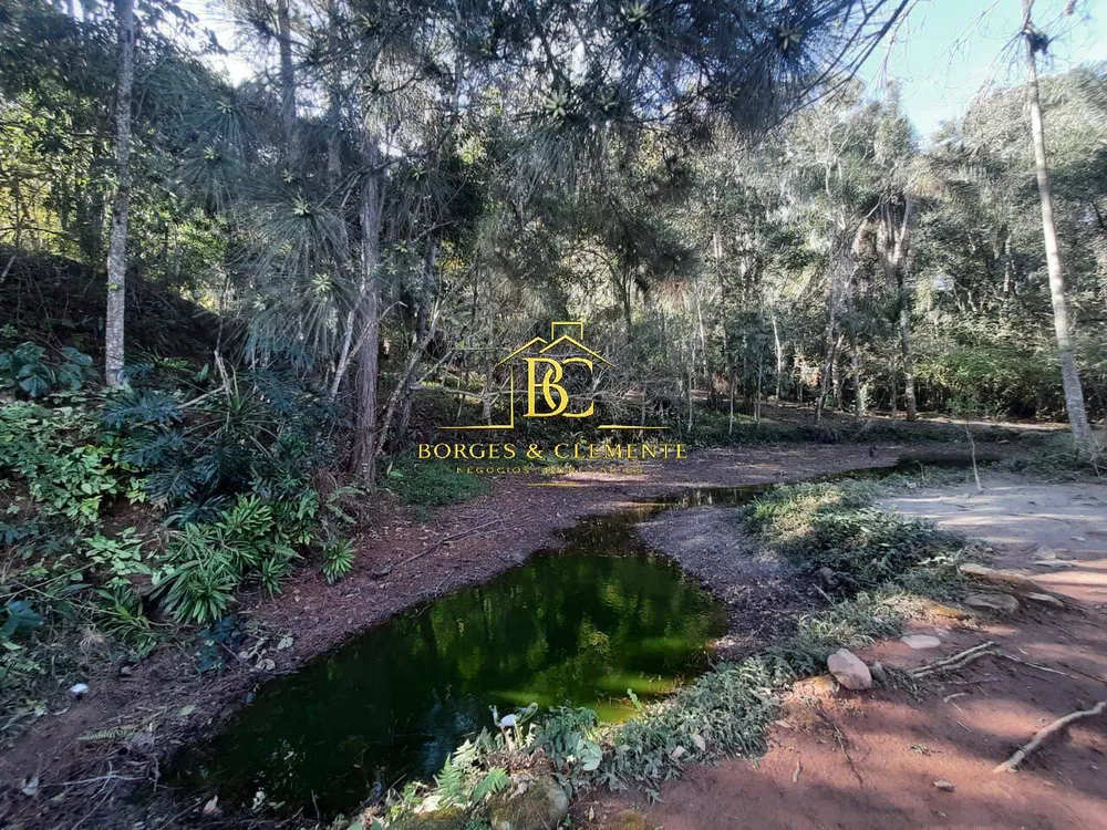 Terreno, 18 hectares - Foto 8
