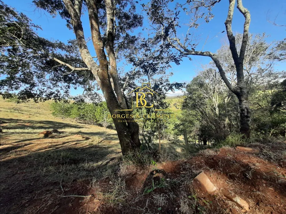 Terreno, 18 hectares - Foto 3