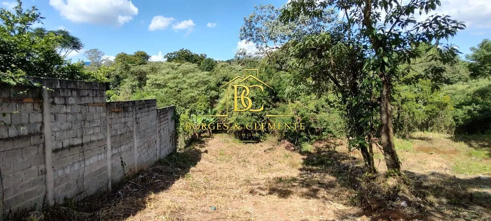 Terreno, 1196 m² - Foto 3