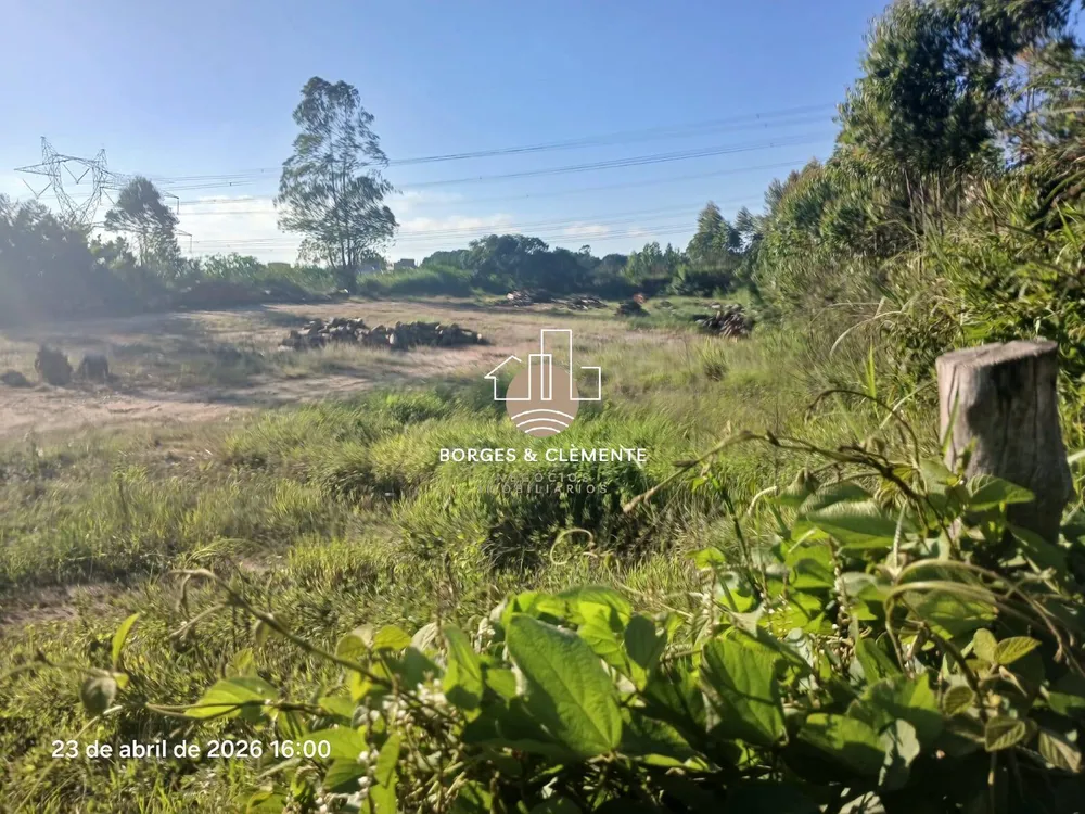 Terreno, 2 hectares - Foto 4