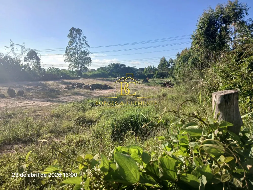 Terreno, 2 hectares - Foto 6