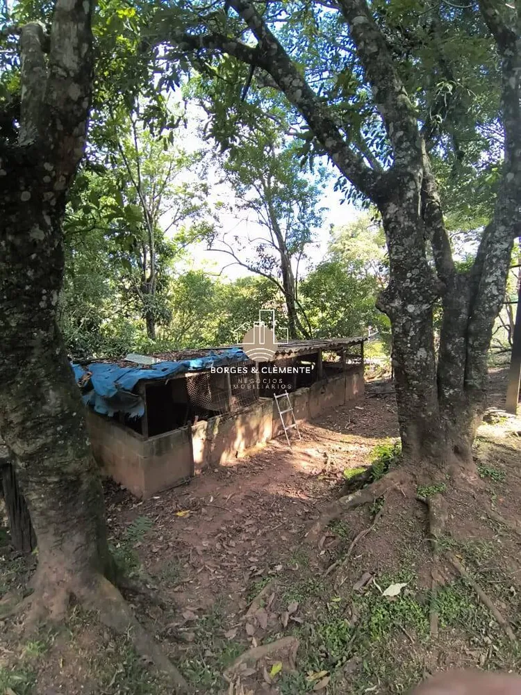 Casa, 3 quartos, 600 m² - Foto 3